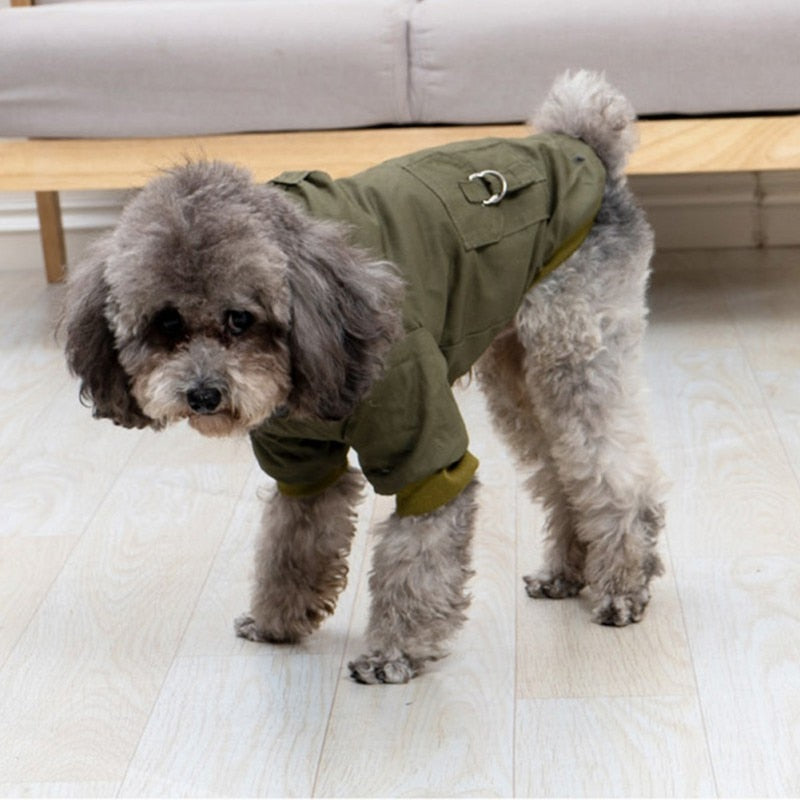 Warm Winter Down Jacket For Small and Medium Dogs - Hoodie Outfits