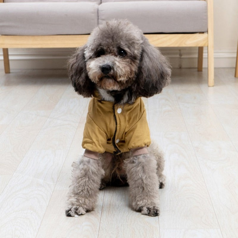 Warm Winter Down Jacket For Small and Medium Dogs - Hoodie Outfits