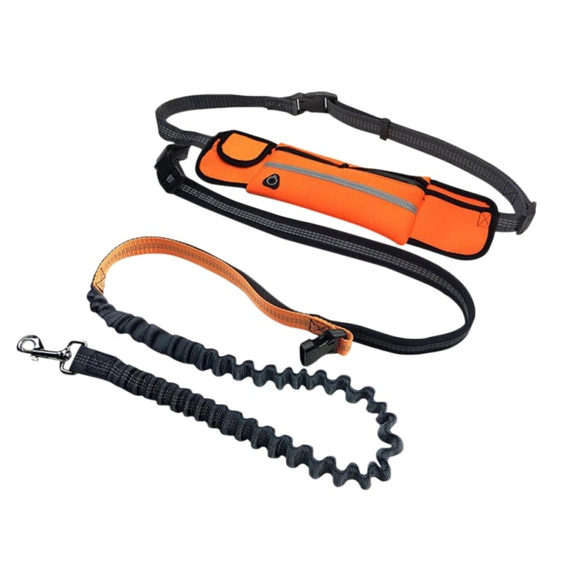 Hands Free Dog Leash with Bag - for Running, Reflective, Portable Waist Bag