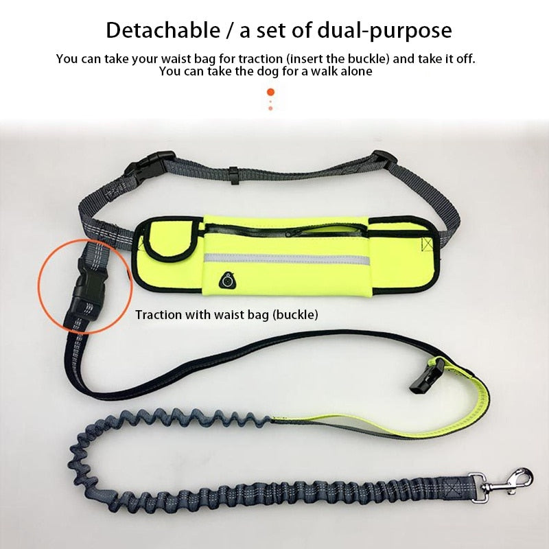 Hands Free Dog Leash with Bag - for Running, Reflective, Portable Waist Bag