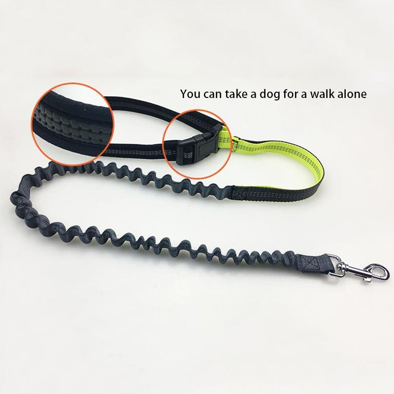 Hands Free Dog Leash with Bag - for Running, Reflective, Portable Waist Bag