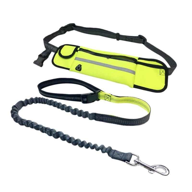 Hands Free Dog Leash with Bag - for Running, Reflective, Portable Waist Bag