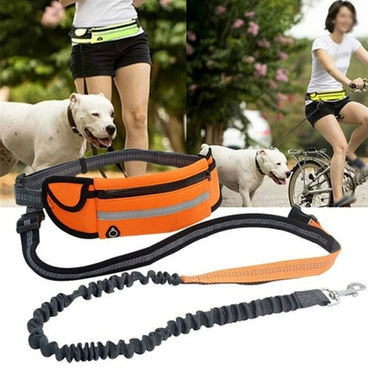 Hands Free Dog Leash with Bag - for Running, Reflective, Portable Waist Bag