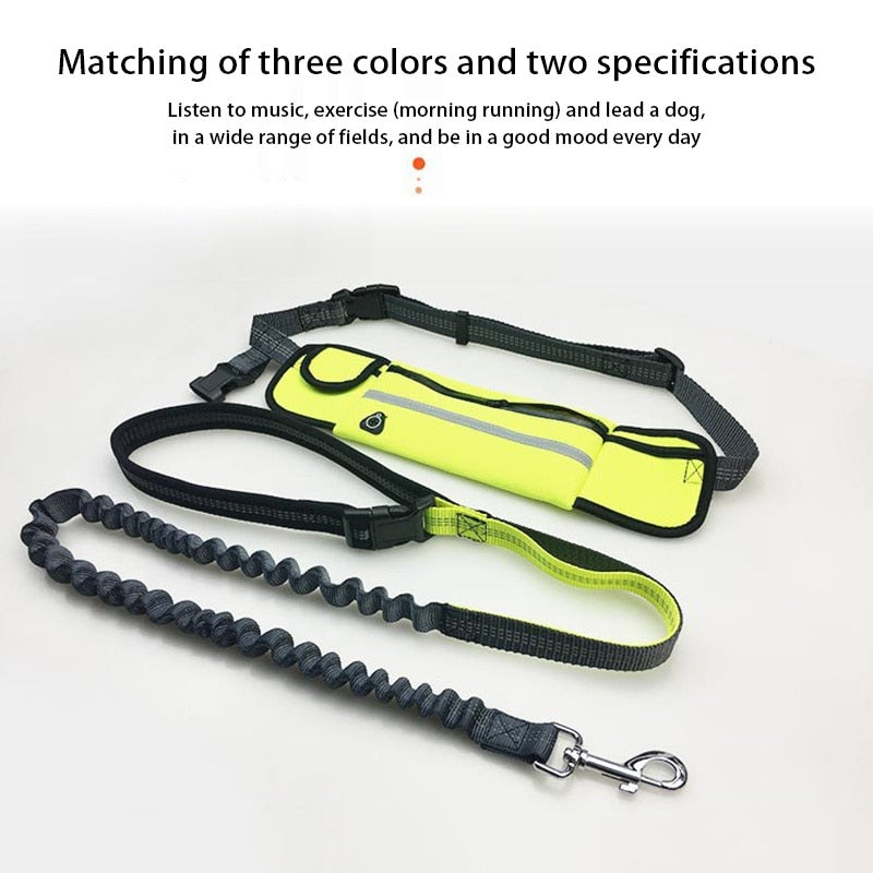 Hands Free Dog Leash with Bag - for Running, Reflective, Portable Waist Bag