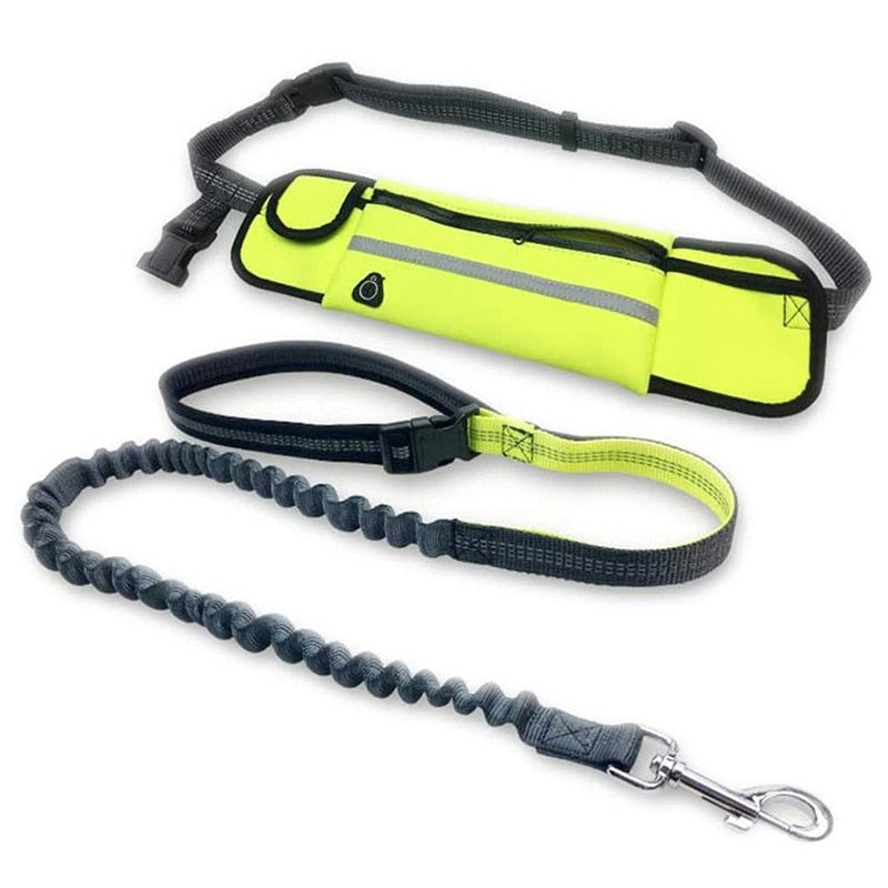 Hands Free Dog Leash with Bag - for Running, Reflective, Portable Waist Bag