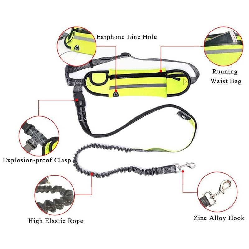 Hands Free Dog Leash with Bag - for Running, Reflective, Portable Waist Bag