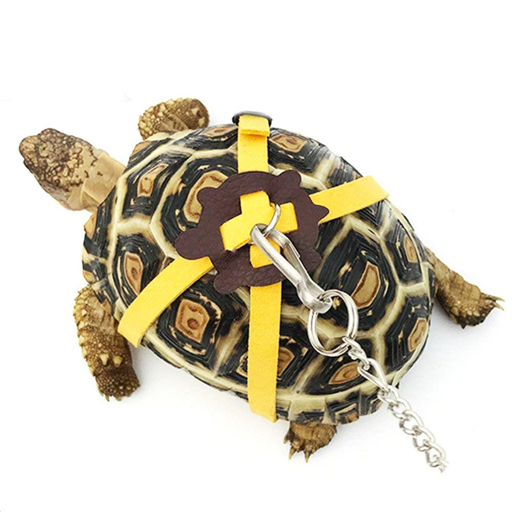 Leashes for Turtle, Lizard, Gerbil, Mouse, Hamster and other small animals